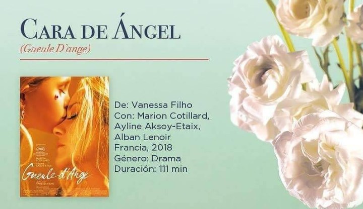 WhatsApp Image 2018-07-23 at 11.33.58