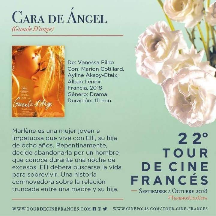 WhatsApp Image 2018-07-23 at 11.33.58