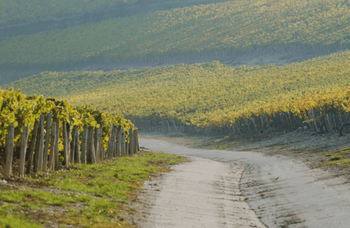 captura de pantalla 2019-01-20 a la(s) 16.17.56