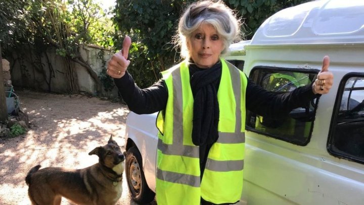 cfc4ccb6f36049079a2d23c96090e