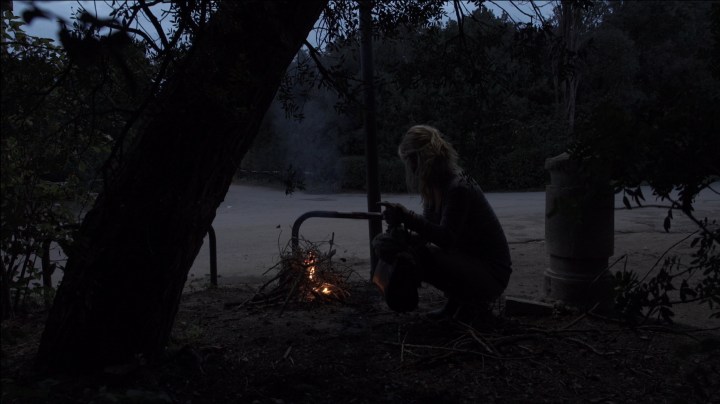 C’è un Lupo nel Parco del 2