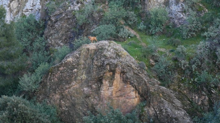 The Hills Are Alive 4