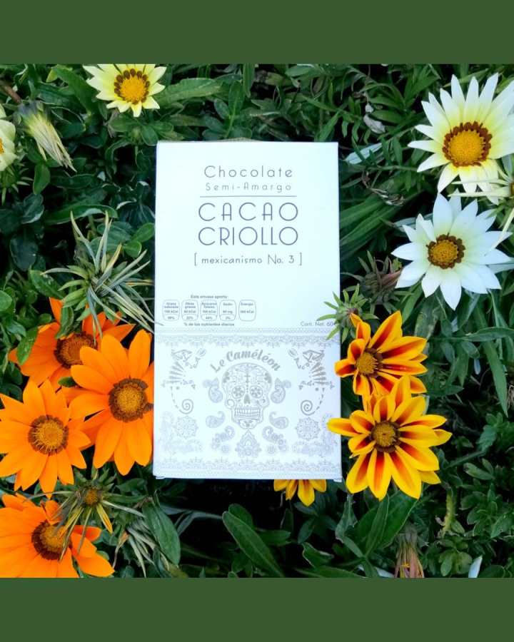 cacao_criollo_cameleon